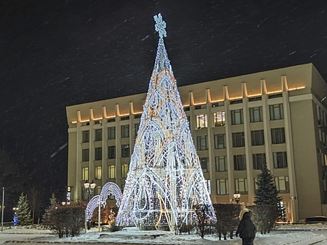 Рязань выделила 7,5 млн рублей на новогоднее оформление города