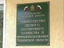 Глава пензенского минлесхоза избавился от приставки «и. о.»