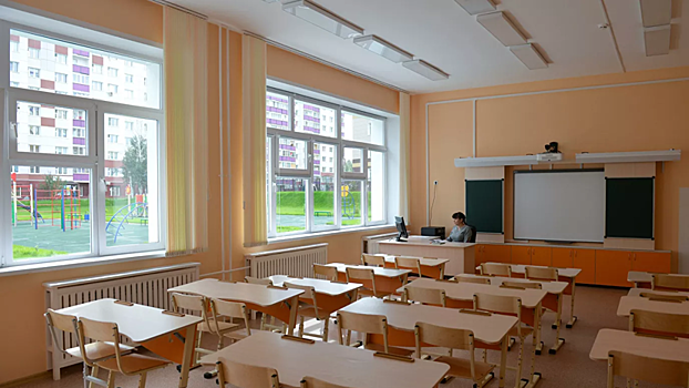 Петербургские школы перейдут на онлайн-режим обучения
