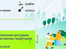 Мэр Ярославля пригласил жителей на общегородской субботник