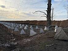 В России отреагировали на призыв отправить войска стран НАТО на Украину