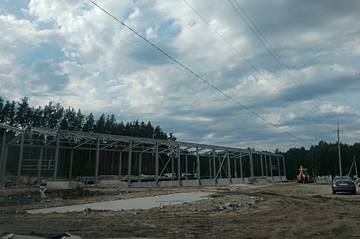 Ради самовольной стройки в Екатеринбурге вырубили десятки сосен