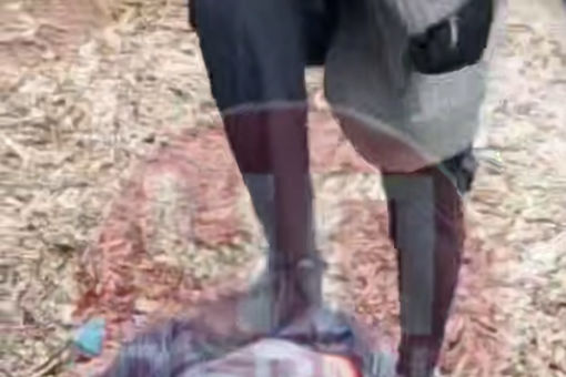 В Прикамье подростка заставили встать на колени и избили, потребовав извинений