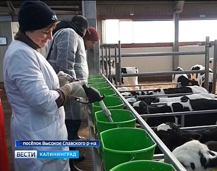 Первая в стране агрошкола открылась в посёлке Высокое Славского района