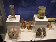 Воспитанники «Каховских ромашек» посетили антинаркотическую площадку