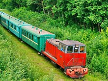 В Кирово-Чепецке на узкоколейке мужчине отрезало ноги поездом