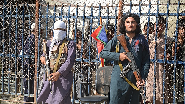 «Явление черного лебедя»: как «Талибан»* меняет уклад жизни в Афганистане