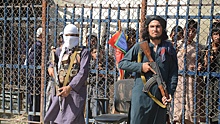 «Явление черного лебедя»: как «Талибан»* меняет уклад жизни в Афганистане