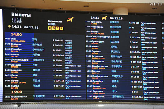 Почти 45 рейсов задержано и отменено в аэропортах Москвы из-за снегопада