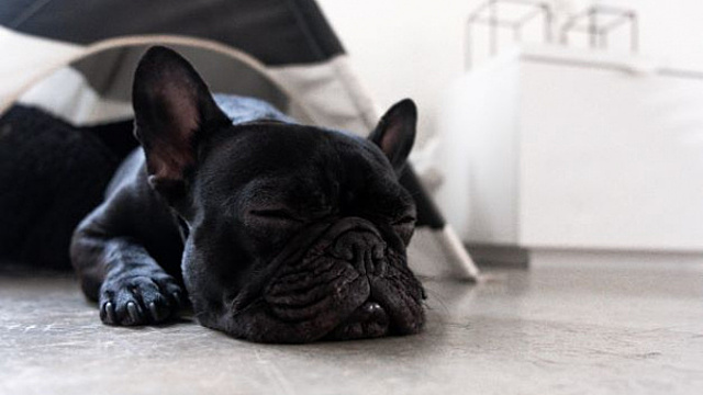 Сон в ночь с 18 на 19 апреля 2023 года: толкование по лунному календарю