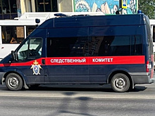 В Самаре осудили женщину, получившую обманом соцвыплату