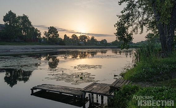 Реку Суджу в Курской области планируют расчистить в 2025-2026 годах