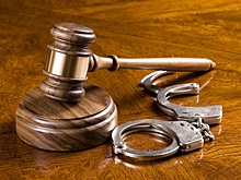 Расчленившего аспирантку историка Олега Соколова приговорили к 12,5 года строгого режима