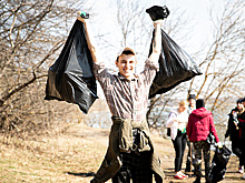 Депутат отметил рост интереса к субботнику у жителей Подмосковья