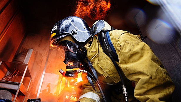 Десять домашних питомцев спасли пожарные из горевшей в Южно-Сахалинске многоэтажки