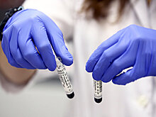 Иммунолог рассказал о роли омикрона в коллективном иммунитете