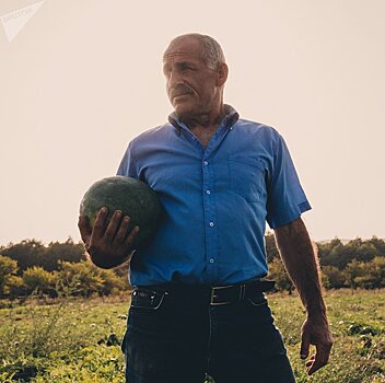 "Сладкое" фермерство в Южной Осетии: арбузы Гелы Бекоева
