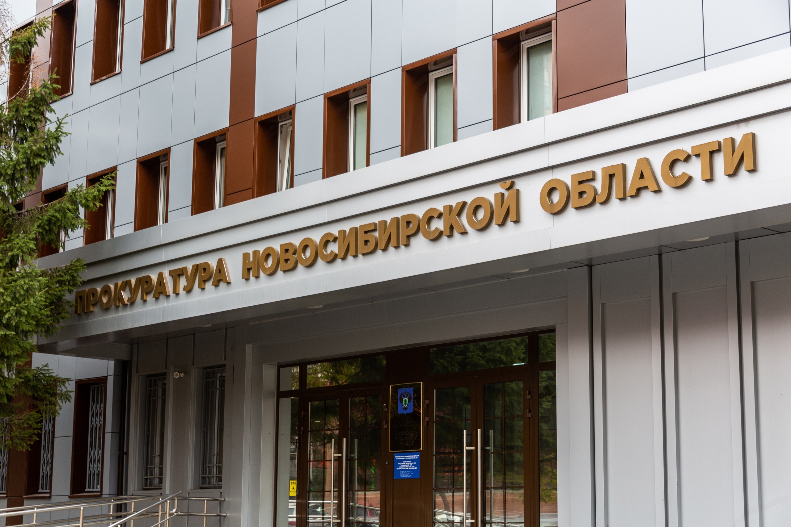 В Новосибирске в 2024 году зарегистрировано 25 тысяч преступлений