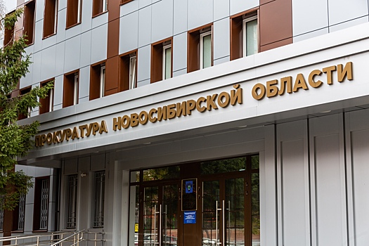 Прокуратура внесла преставление мэру Новосибирска по поводу забастовки учеников в гимназии №10