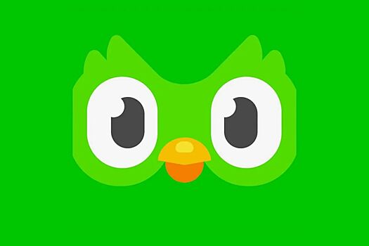 Роскомнадзор не причастен к сбоям в работе сервиса Duolingo в России