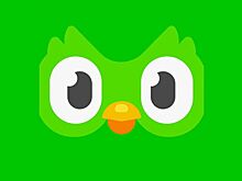 Роскомнадзор не причастен к сбоям в работе сервиса Duolingo в России