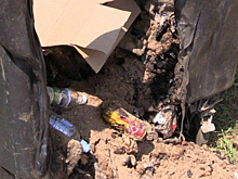 В Красногорске неизвестные подожгли мусорный бак