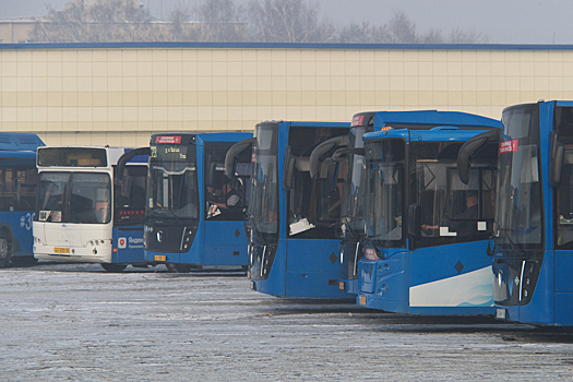 Пассажиров по пути из Новосибирска в Кемерово стали принудительно досматривать на морозе