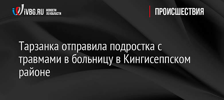 Тарзанка отправила подростка с травмами в больницу в Кингисеппском районе