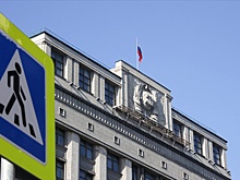 В Госдуме объяснили мотивы Польши, которая согласилась разместить немецкие войска