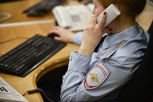 Подмосковные полицейские задержали подозреваемых в разбоях на более чем 1,5 млн руб