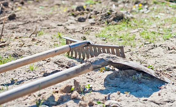 Как подготовить грунт, удобрения и семена для будущей рассады