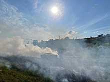 Гладков: Дрон атаковал автомобиль в Белгородской области, ранен водитель