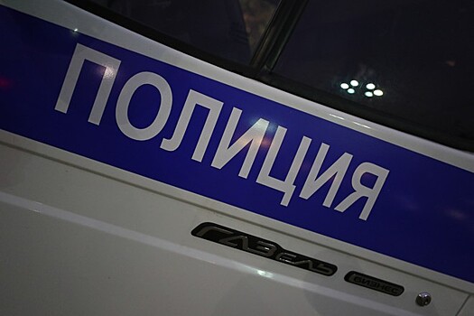 Толкнувшему журналиста защитнику сквера в Екатеринбурге грозит до трёх лет