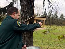 В Нижегородской области начались биотехнические мероприятия по сезонной подкормке птиц