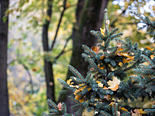 Фестиваль джазовой музыки и новые выставки: как провести выходные в Калининграде