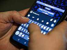 ТАСС: в России заработает новый мессенджер "Молния" в начале 2026 года