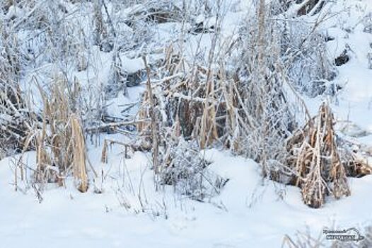 На окраине Екатеринбурга построят снегоплавильный завод