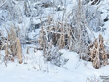 На окраине Екатеринбурга построят снегоплавильный завод