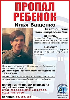 16-летнего Илью Ващенко ищут в Нижегородской области