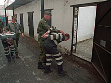 Рост числа жалоб заключенных на пытки прокомментировали во ФСИН фразой «там не зайчики сидят»