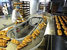 Минэкономразвития выступает за бессрочные надзорные каникулы