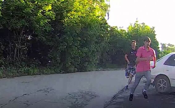 Трое модников попытались угнать машину при водителе