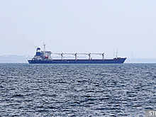 Левитин прокомментировал высказывания НОК Украины о погибших спортсменах