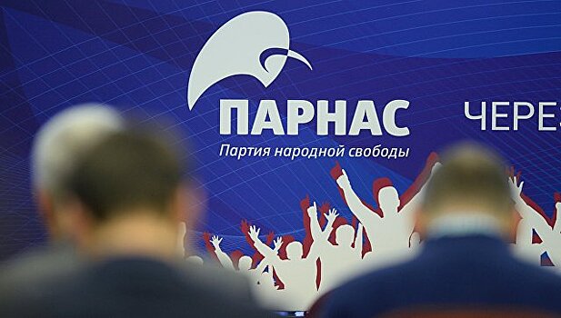 ПАРНАС может поддержать стороннего кандидата