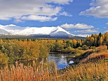 Голос тайги в заповеднике "Вишерский" слышат и понимают во все времена года