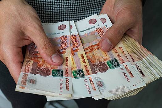 Россиянин взял 11 миллионов рублей на взятки правоохранителям