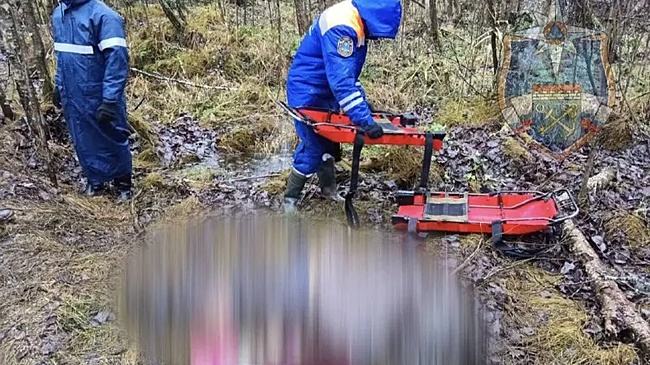 Неожиданная находка в СНТ Захожье: в лесу обнаружили тело пенсионерки