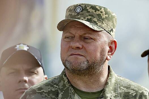 Украине предрекли масштабную мобилизацию после смены Залужного