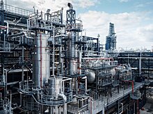 Проекты, связанные с нефтехимией, планируют реализовать в Татарстане инвесторы ОАЭ