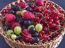 Диетолог Лебедева рассказала, какие ягоды нужно есть с осторожностью